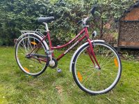 28“ Damenfahrrad 7 Gang Nabenschaltung Essen - Essen-Borbeck Vorschau