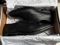 Herren Schuhe in gr 41 Kiel - Schreventeich-Hasseldieksdamm Vorschau