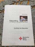 Wg. Beinbruchs pausiert! Babysitter / Leihoma / Kinderbetreuung Hessen - Niedenstein Vorschau