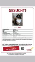 Katze entlaufen - Maine Coon Mix Nordrhein-Westfalen - Mönchengladbach Vorschau