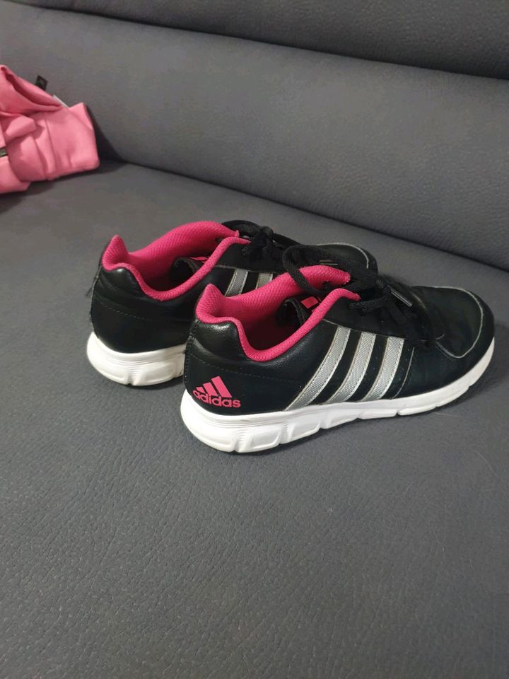 Adidas Schuhe 36 in Mainz