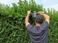 (Gartenpflege/Gartanarbeit)-Dailygartenpflege.de Hessen - Bad Soden am Taunus Vorschau