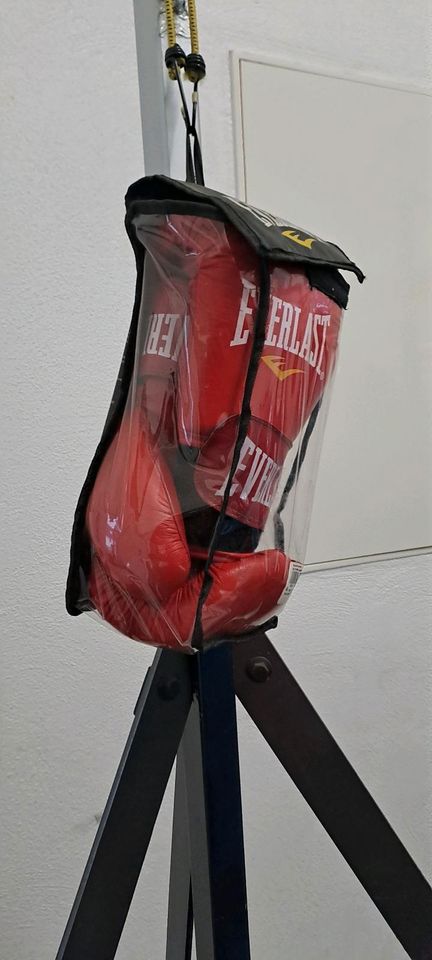 Boxsack mit Boxhandschuhen in Ludwigshafen