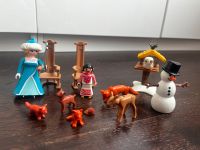 PLAYMOBIL Winter Eiskönigin Schneemann Waldtiere, Eule Baden-Württemberg - Östringen Vorschau