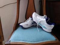 Asics Sportschule Rheinland-Pfalz - Oppenheim Vorschau