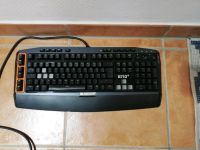 Gaming Tastatur Logitech G710+ Nordrhein-Westfalen - Hagen Vorschau