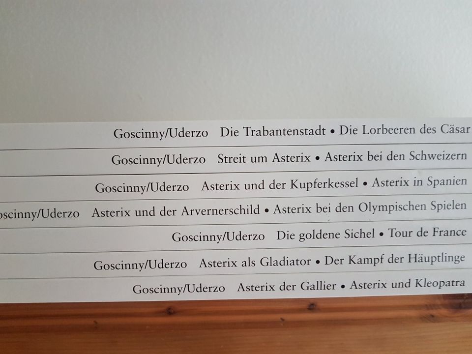 Asterix Werkedition mit Lexikon verschiedene Bände + Einzelhefte in Essen