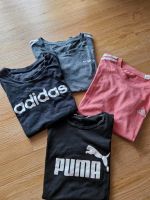 Kurzam Sportshirts Tshirts Adidas Puma Sachsen-Anhalt - Gräfenhainichen Vorschau