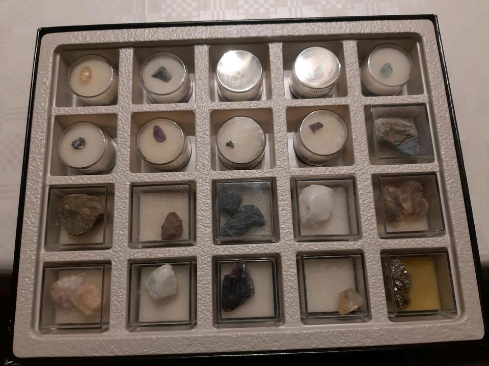 Mineralien und Edelsteine im Sammelkasten, Schätze der Erde in Steinwiesen