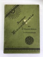 Buch Antiquariat Deutschlands wichtigste Giftgewächse Brandenburg - Hirschfeld (Brandenburg) Vorschau