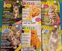 6 Zeitschriften "Geliebte Katze" 6-11 2020 Zeitung Ratgeber Buch Wandsbek - Hamburg Tonndorf Vorschau