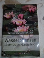 Wasserpflanzen Lebensraum Gartenteich Ratgeber Blumen Garten Bayern - Hergensweiler Vorschau