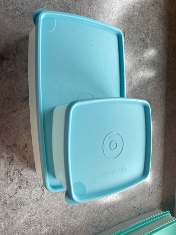 Tupperware Eiskristall Gefrierbox Gefrierboxen