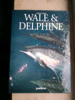 Buch Bilderbuch Wale & Delphine Delfine Sachsen - Freiberg Vorschau