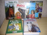 Sechs tolle Bücher für Pferdeliebhaber Niedersachsen - Nottensdorf Vorschau