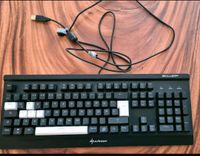 Gamer Sharkoon Skiller  SGK3 Tastatur voll funktionsfähig zu verk Hessen - Bruchköbel Vorschau