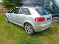 Audi A3 Benzin Klima Alu 17 Zoll Sportauspuff Tüv Schleswig-Holstein - Klein Gladebrügge Vorschau