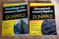 2x Lineare Algebra für Dummies Inkl. Versand Hamburg - Wandsbek Vorschau