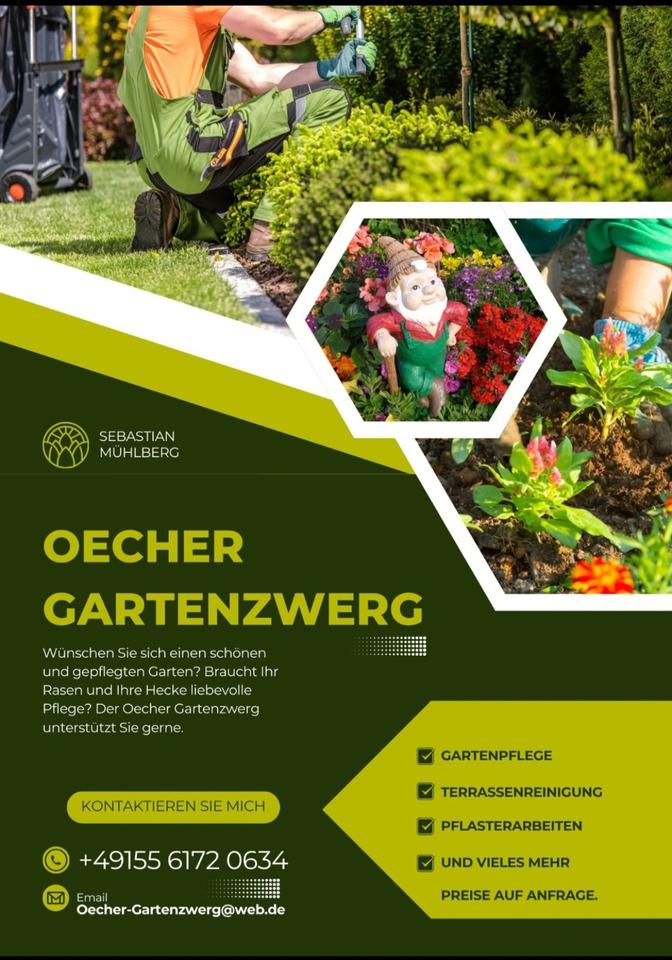 Gärtner, Gartenarbeit, Gartenpflege, Rasen mähen, Heckeschneiden in Aachen
