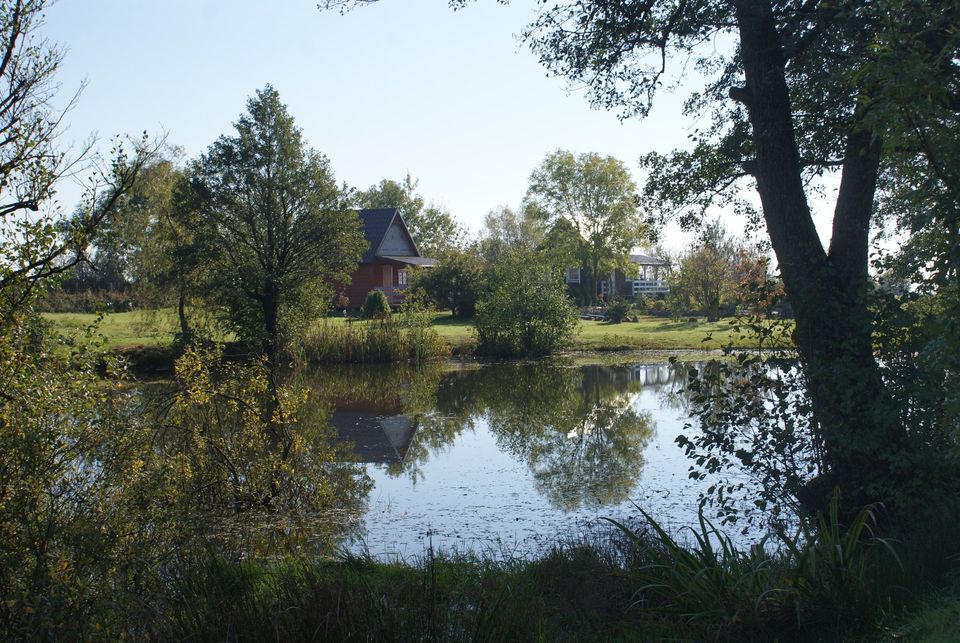 Meer, Dorf, Stille - Urlaub (mit Hund) an der polnischen Küste in Dresden