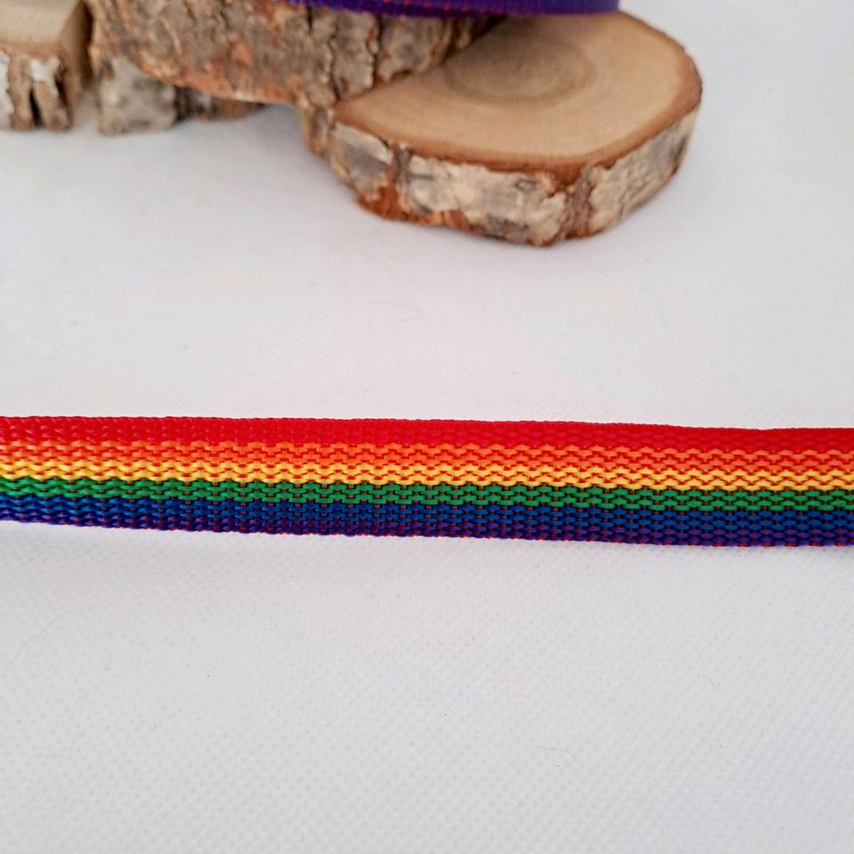 Gurtband 20 mm Regenbogen Band Gurt in Bad Wildungen
