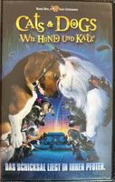 VHS Cats & Digs - Wie Hund und Katz Thüringen - Nordhausen Vorschau