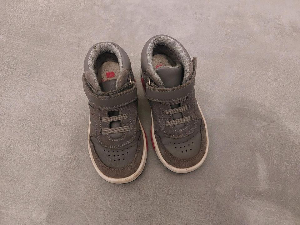 High Sneaker Schuhe Elefanten grau Größe 24 in Ludwigslust