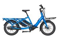 Sonderangebot! Kettler FAMILIANO L-N  UVP 5059€! Lasten E-Bike Stuttgart - Bad Cannstatt Vorschau