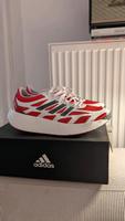 Adidas Aruku Bayern - Bamberg Vorschau