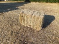 Heu, Heuballen, Quaderballen Thüringen - Rositz Vorschau