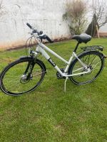 Fahrrad 28“ Mifa Thüringen - Berlingerode Vorschau