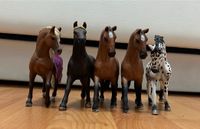 Schleich Pferde für je 6,00 Euro Brandenburg - Potsdam Vorschau