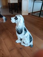 Hund aus Porzellan Bayern - Haag in Oberbayern Vorschau