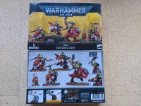 Warhammer 40k Squighog Boyz / Grunzareita Hessen - Malsfeld Vorschau