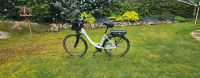 Ebike elektro Fahrrad Niedersachsen - Zetel Vorschau