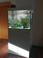 *Juwel 200 Aquarium mit viel Zubehör* Rheinland-Pfalz - Hauptstuhl Vorschau