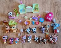 Littlest pet shop LPS Berlin - Marzahn Vorschau