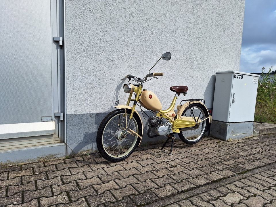 Göricke Mofa mit SACHS 50/2 Motor WUNDERSCHÖN in Kaiserslautern