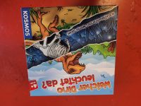 Welcher Dino leuchtet da? Memory von Kosmos Bayern - Höchberg Vorschau