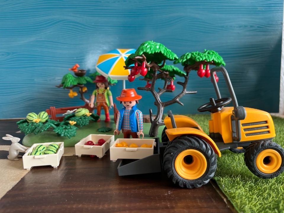 Playmobil Bauern Obsternte mit Traktor 6870 in Willich