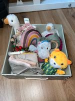 Little Dutch goose Gans Box verschieden Baby Spielzeug Nordrhein-Westfalen - Wassenberg Vorschau