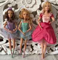 Barbie und die 13 tanzenden Prinzessinnen *gut* Harburg - Hamburg Neugraben Vorschau