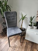 Stuhl für Kleidung Schlafzimmer Nordrhein-Westfalen - Siegburg Vorschau