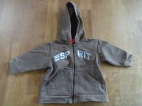 Esprit Sweatshirt Sweatjacke Hoodie Gr. 74 (9m) Junge Baden-Württemberg - Plankstadt Vorschau