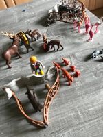 Playmobil Zoo Erweiterung Niedersachsen - Wietze Vorschau