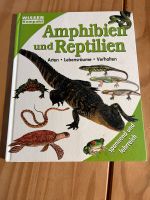 Wissen Kompakt Amphibien und Reptilien Kiel - Hasseldieksdamm Vorschau