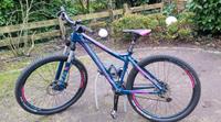 Bergamont Metric Ltd FMN 27,5" MTB Niedersachsen - Winsen (Luhe) Vorschau