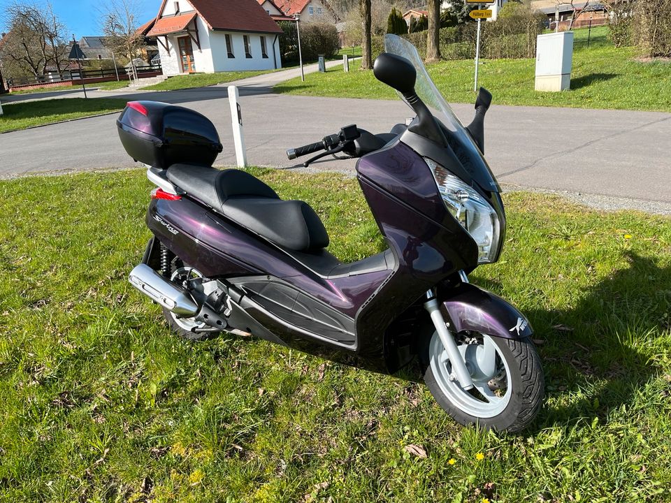 Honda S-Wing 125ccm Roller /Motorroller in Kemnath