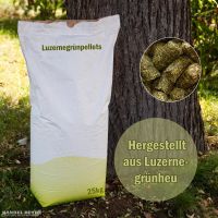 Luzernegrünpellets, Pellets, Futtermittel, Luzerne, Pferd, Nager Sachsen - Riesa Vorschau