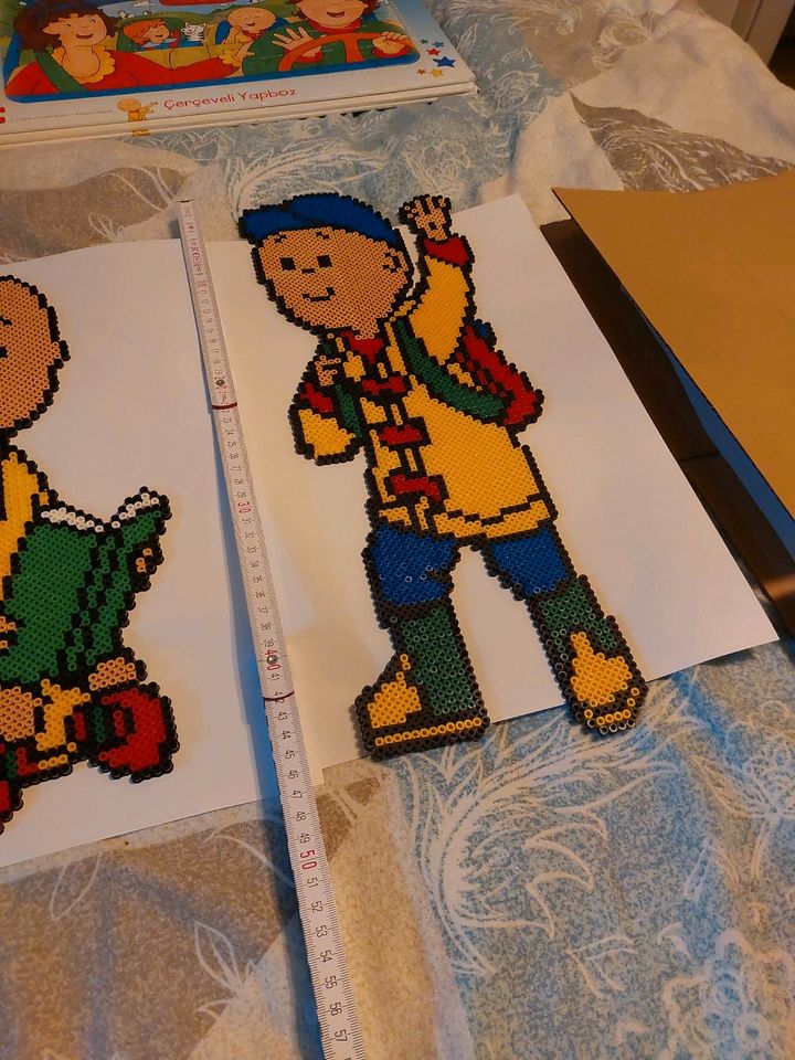 Caillou Fan Paket in Hamburg